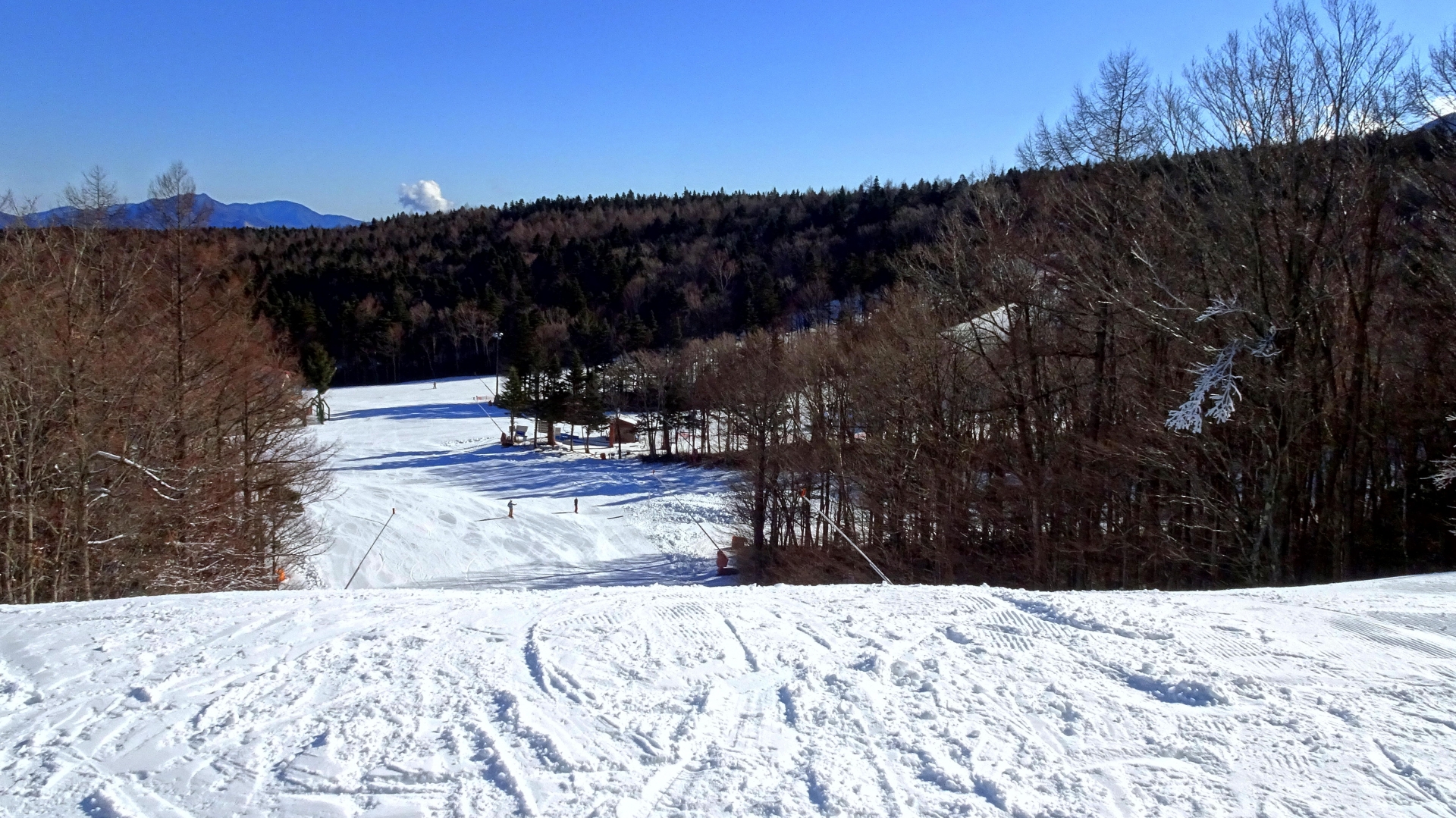 Fujiten Snow Resort — photo 2