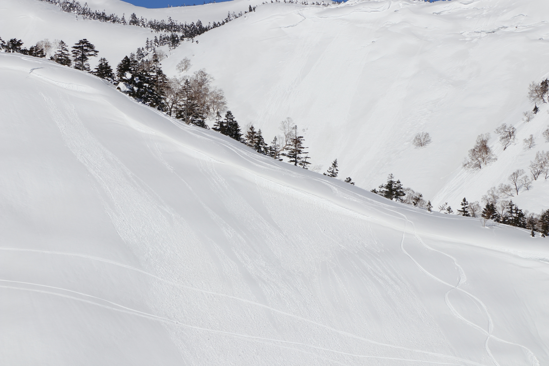 Kagura Ski Resort — photo 2
