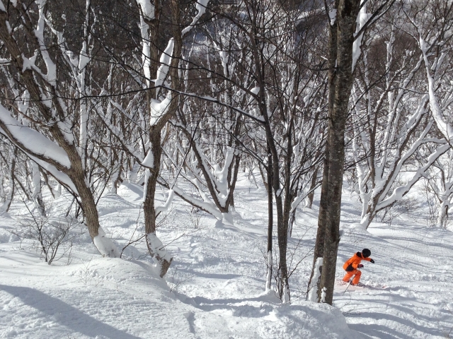 Hakuba Norikura