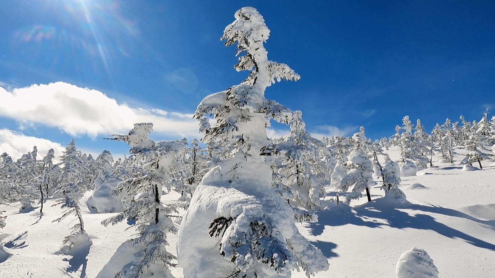 Photo carousel image 1 of 3