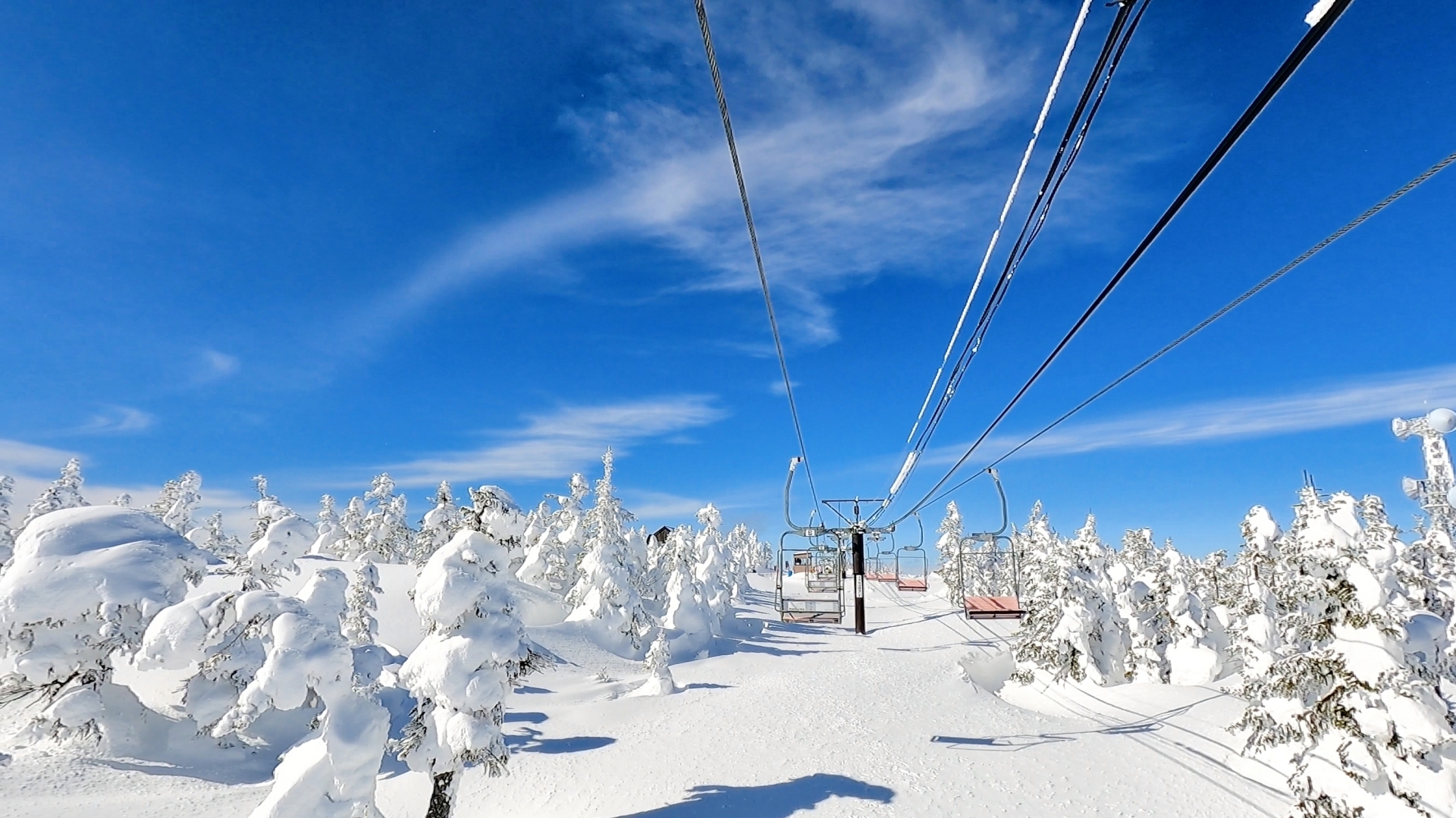 Shiga Kogen Central Area — photo 2
