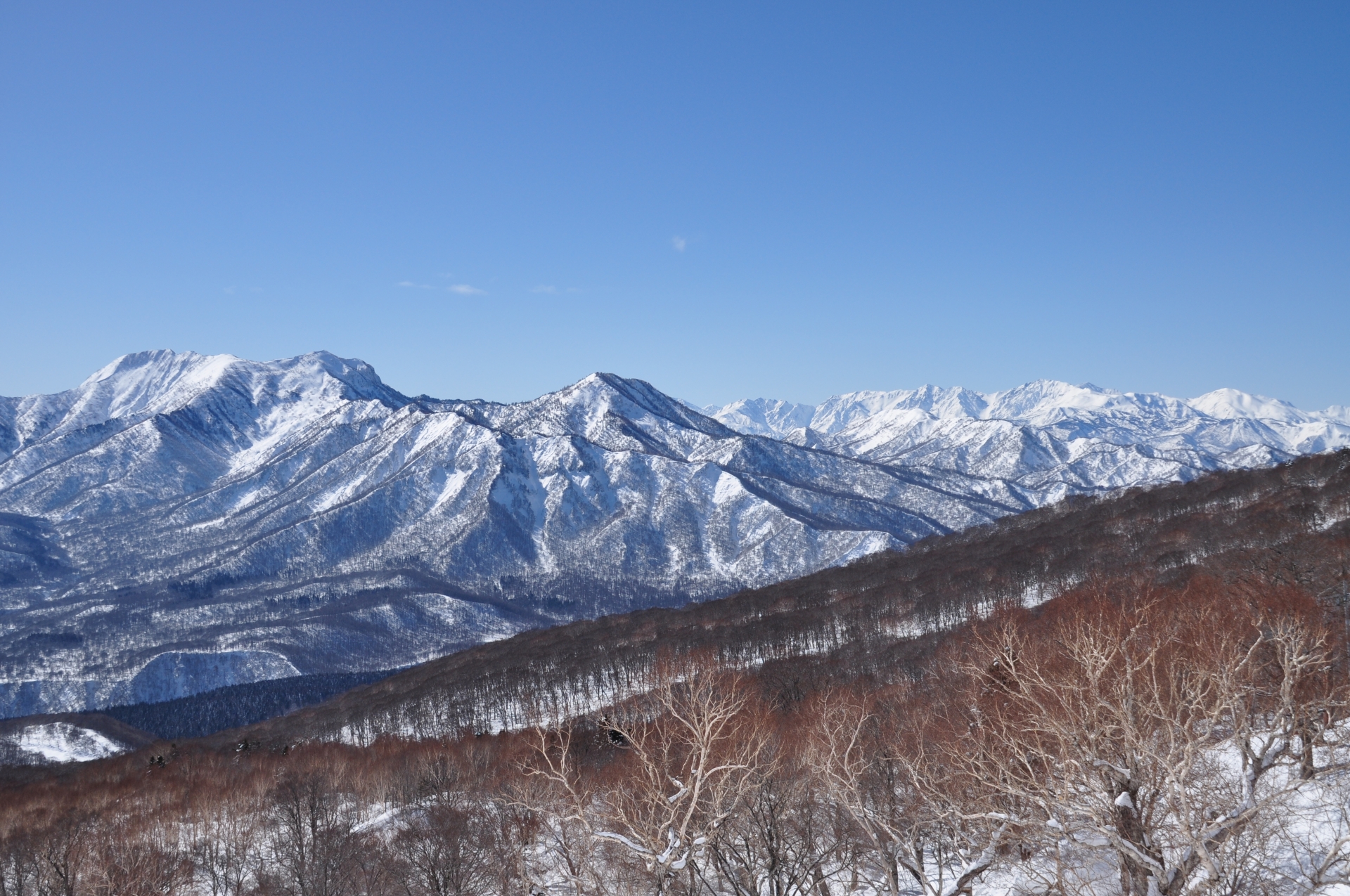 Myoko Suginohara — photo 3