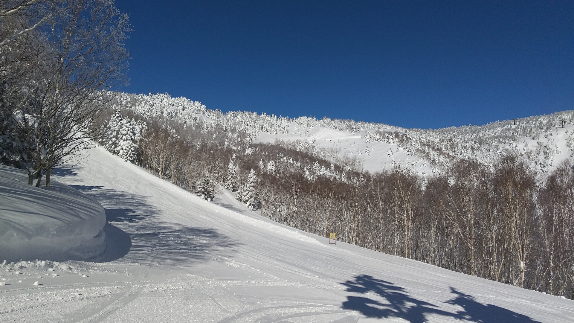 Shiga Kogen Yakebitaiyama Ski Resort — photo 2